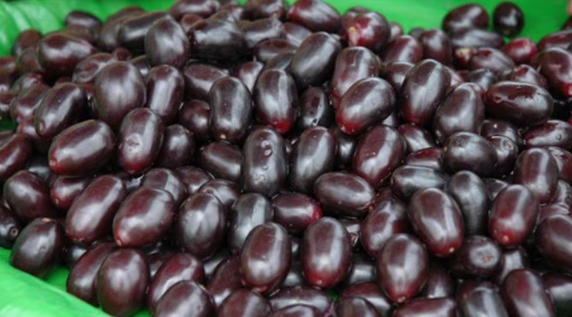 5 कारण जिनकी वजह से आपको इस गर्मी में जामुन jamun खाना चाहिए