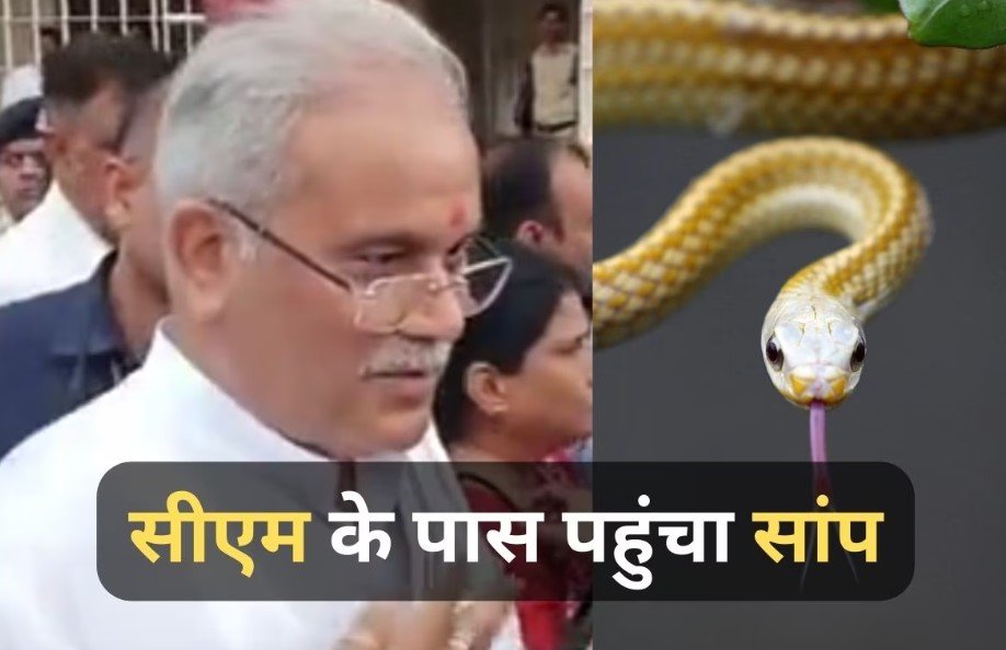 CM साहब दे रहे थे बयान, तभी अचानक उनके पैर तक पहुंचा सांप