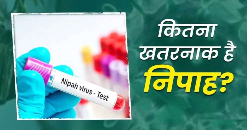 Nipah Virus: कोरोना से भी खतरनाक है निपाह वायरस, आ सकता है तेजी से फैलने वाला वैरिएंट, बरतें सावधानी